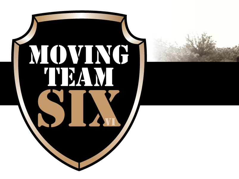 Moving Team Six Form Design
